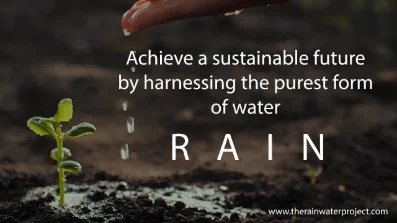 Title frame from a CSR film for The Rain Water Project, showing a seedling in soil